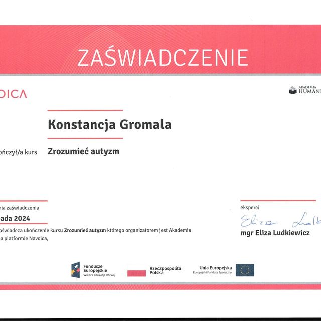 Powiększ obraz: certificate 1