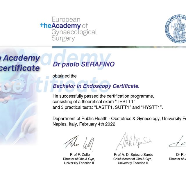 Ingrandire l'immagine: certificate 2