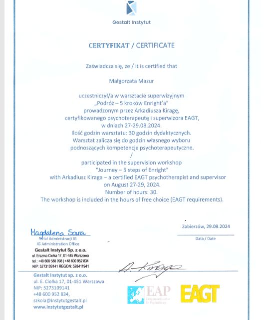 Powiększ obraz: certificate 2