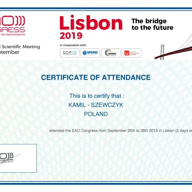 Powiększ obraz: certificate 8