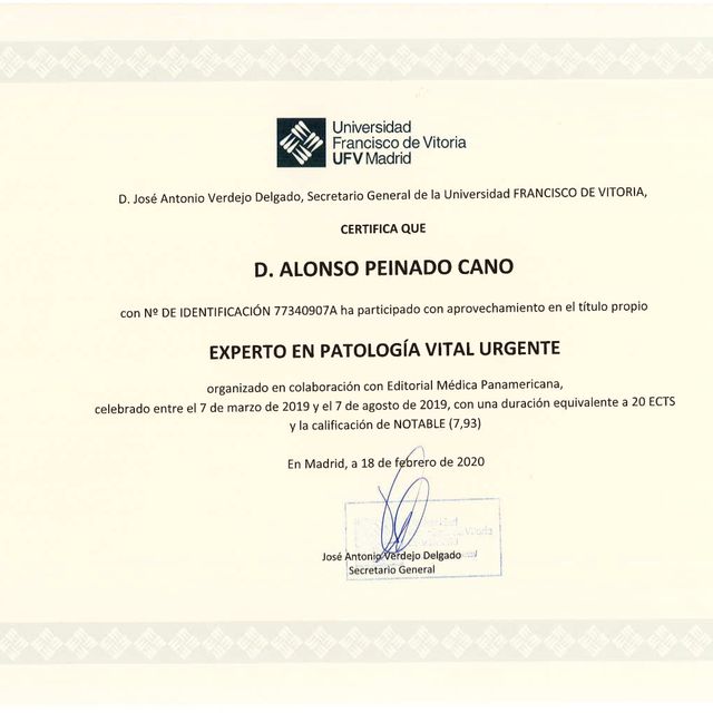 Acercar imagen: certificate 8