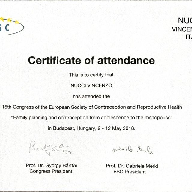 Ingrandire l'immagine: certificate 29