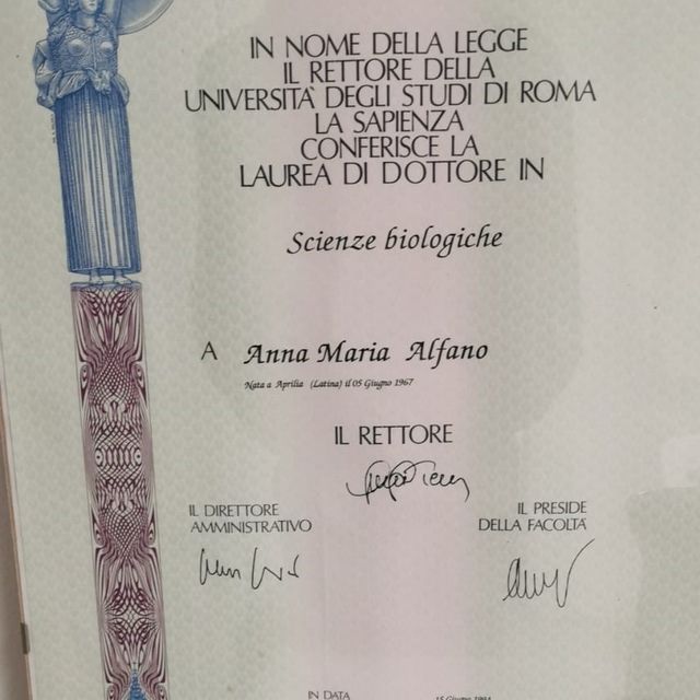 Ingrandire l'immagine: certificate 1