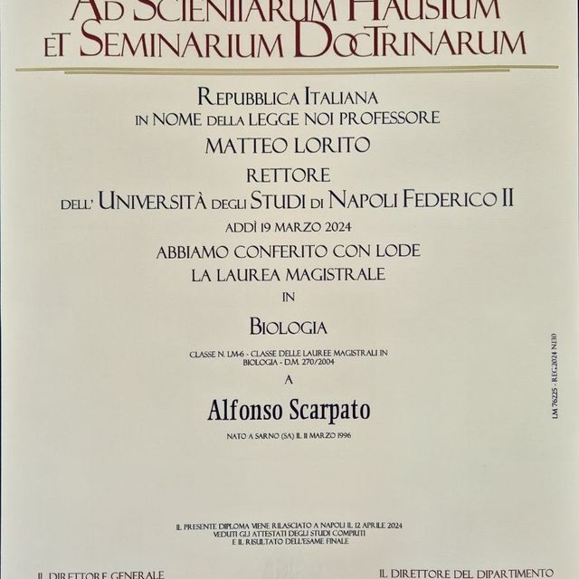 Ingrandire l'immagine: certificate 2