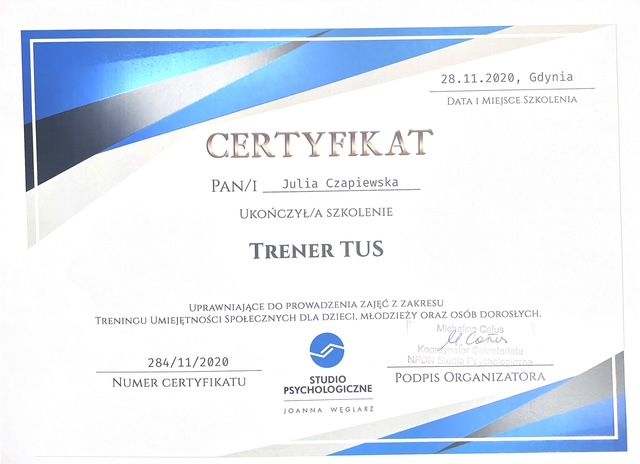Powiększ obraz: certificate 3