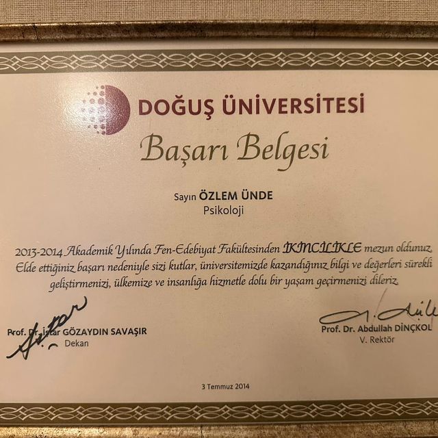 Resmi büyüt: certificate 6