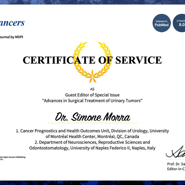 Ingrandire l'immagine: certificate 9