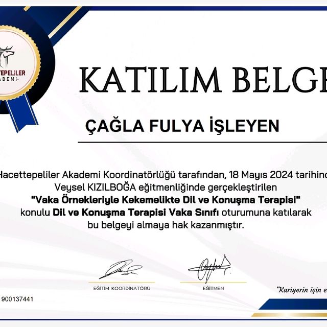 Resmi büyüt: certificate 16