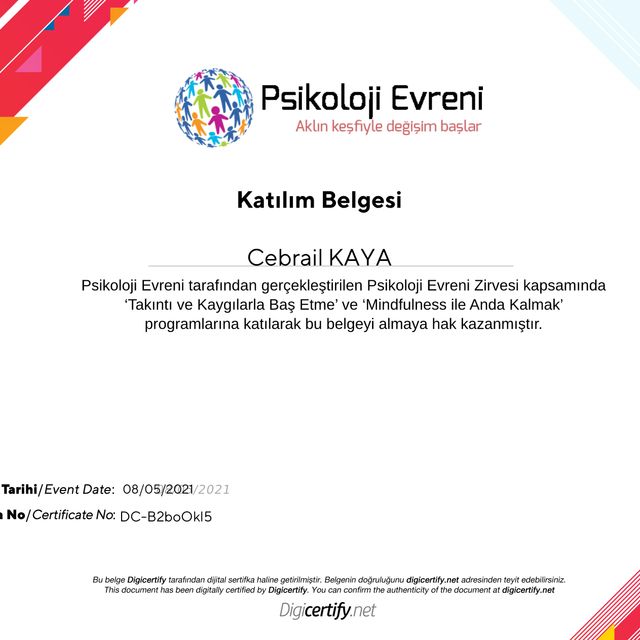 Resmi büyüt: certificate 13
