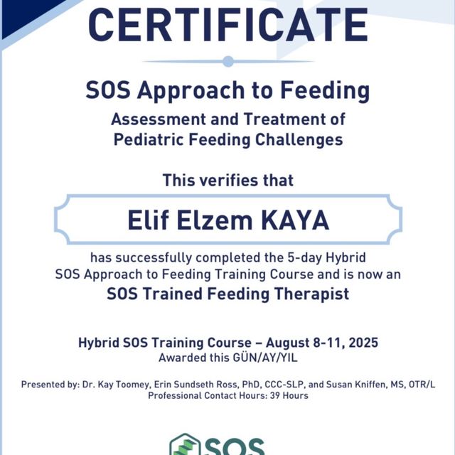 Resmi büyüt: certificate 5