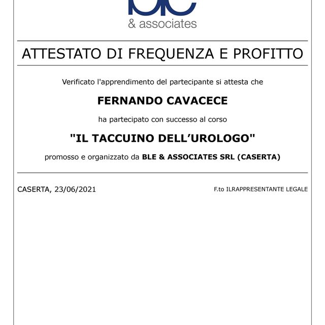Ingrandire l'immagine: certificate 6