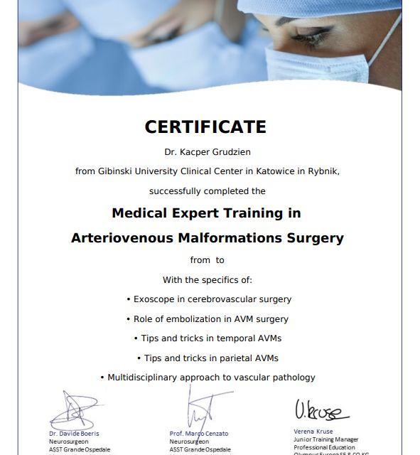 Powiększ obraz: certificate 2