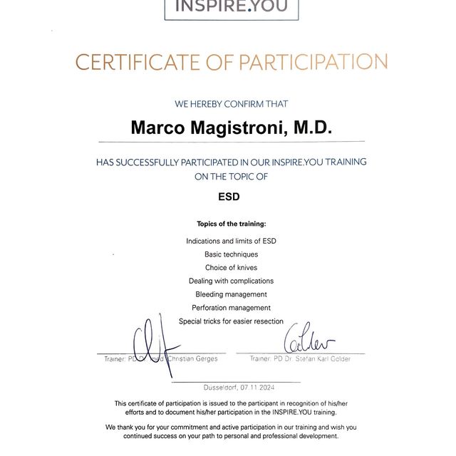 Ingrandire l'immagine: certificate 17