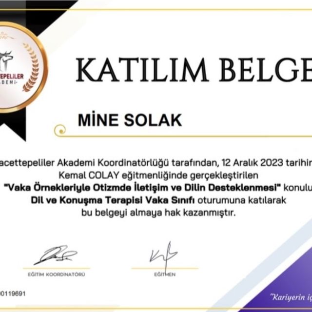 Resmi büyüt: certificate 8