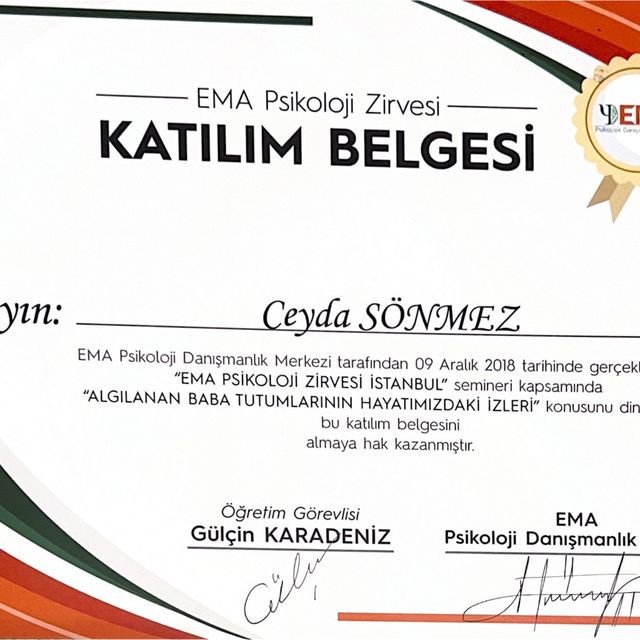 Resmi büyüt: certificate 15