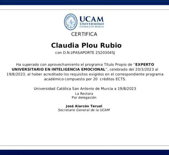 Acercar imagen: certificate 5