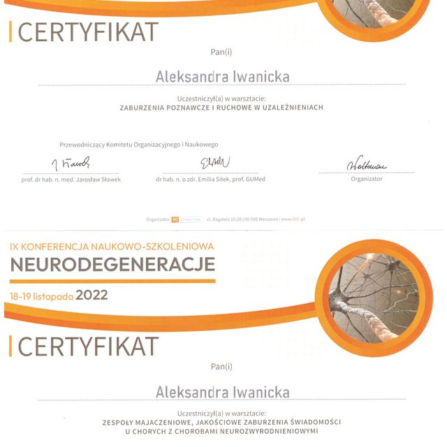 Powiększ obraz: certificate 1