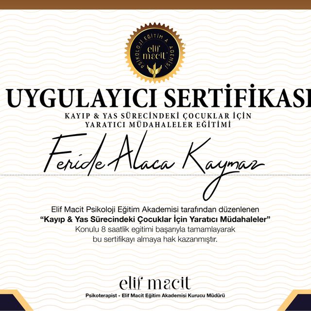 Resmi büyüt: certificate 2