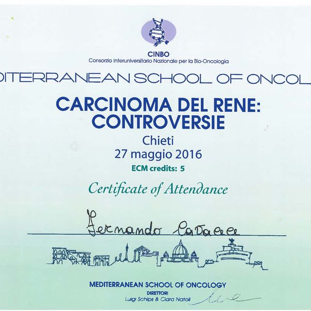 Ingrandire l'immagine: certificate 45