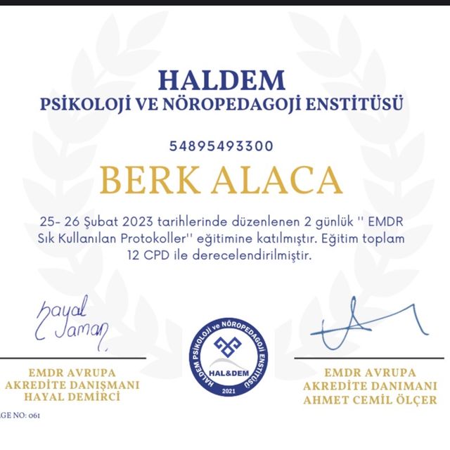 Resmi büyüt: certificate 5