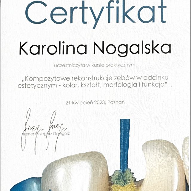 Powiększ obraz: certificate 8