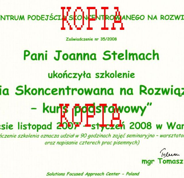 Powiększ obraz: certificate 4