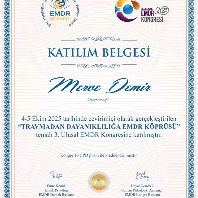 Resmi büyüt: certificate 3
