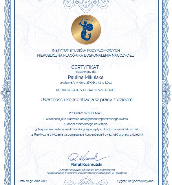 Powiększ obraz: certificate 13