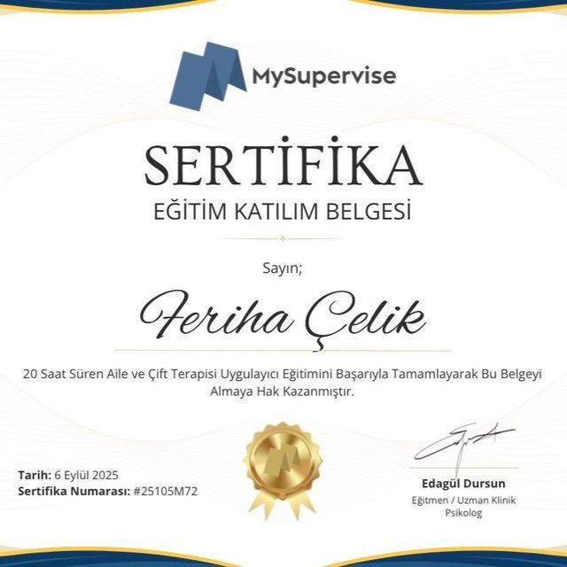Resmi büyüt: certificate 7