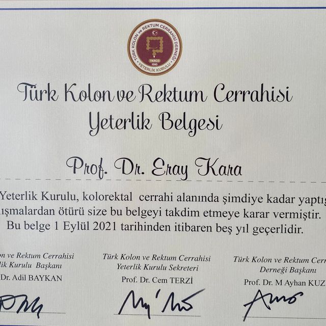 Resmi büyüt: certificate 1
