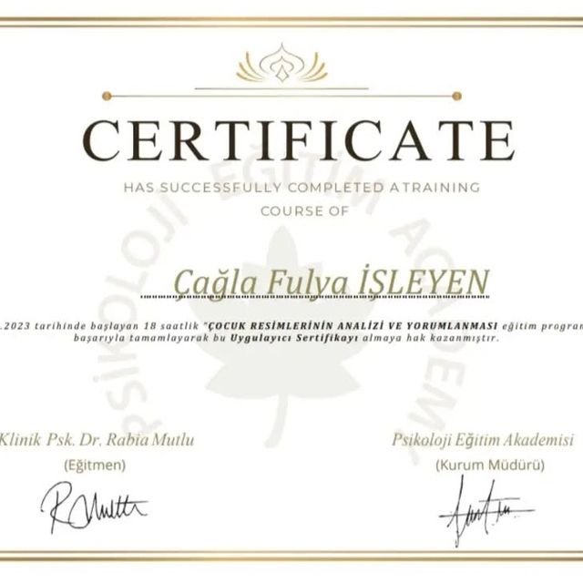 Resmi büyüt: certificate 7