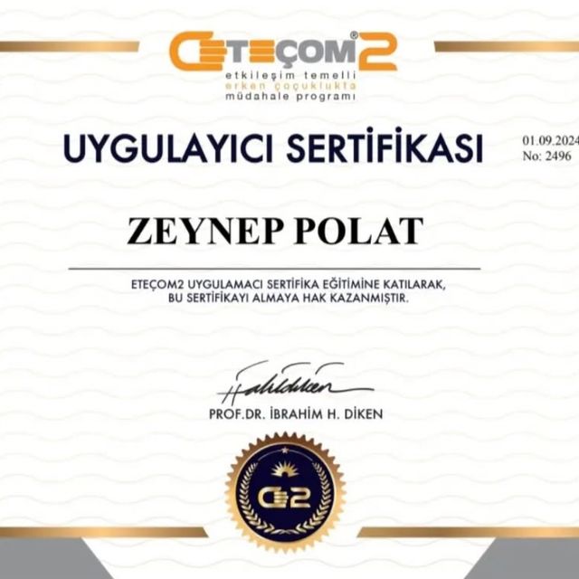 Resmi büyüt: certificate 5