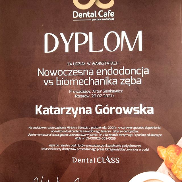 Powiększ obraz: certificate 7