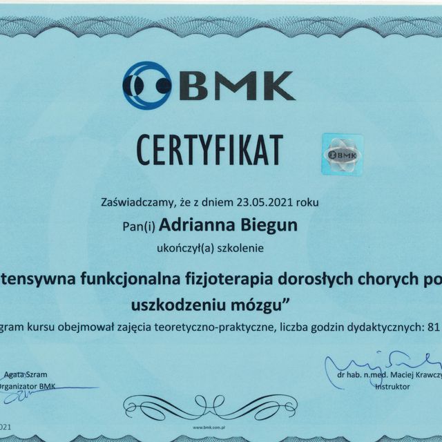 Powiększ obraz: certificate 2