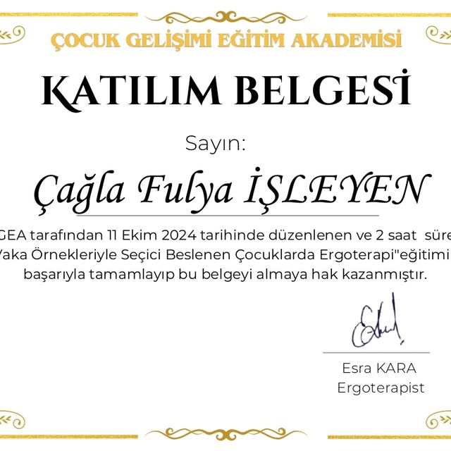 Resmi büyüt: certificate 2