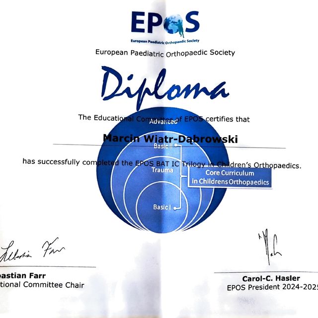 Powiększ obraz: certificate 4