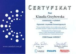 Powiększ obraz: certificate 2