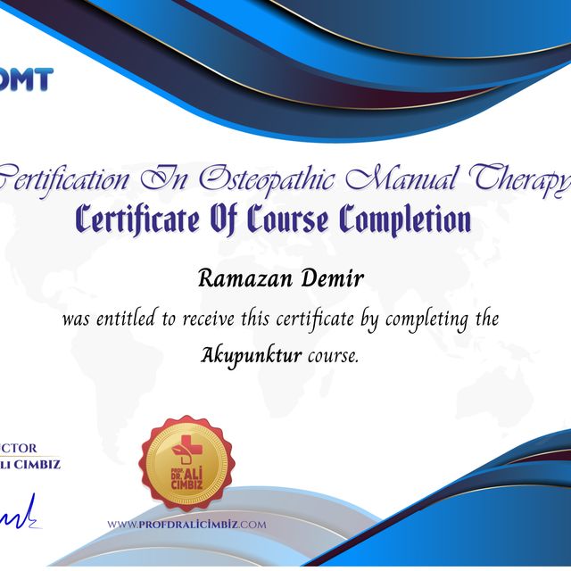 Resmi büyüt: certificate 42