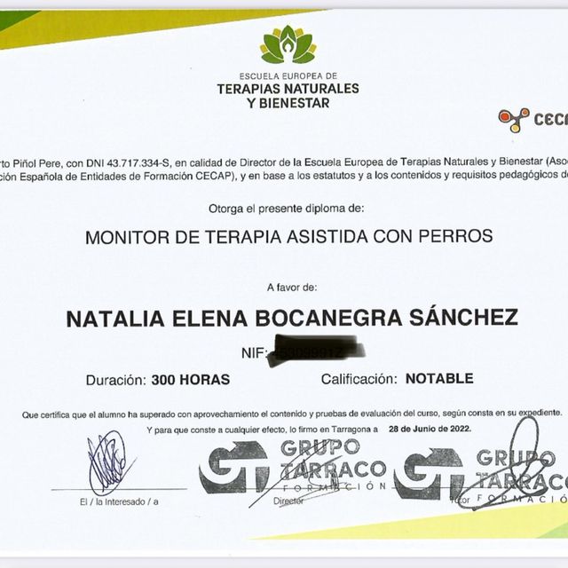 Acercar imagen: certificate 12