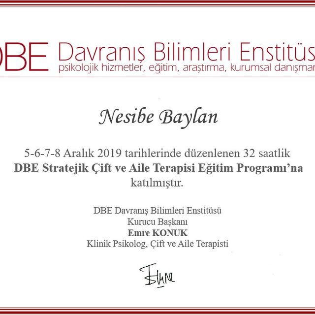 Resmi büyüt: certificate 1