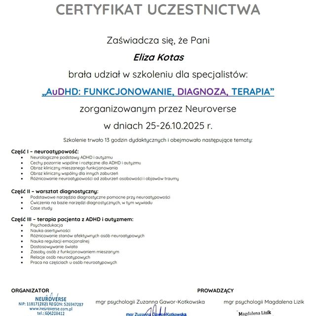 Powiększ obraz: certificate 3