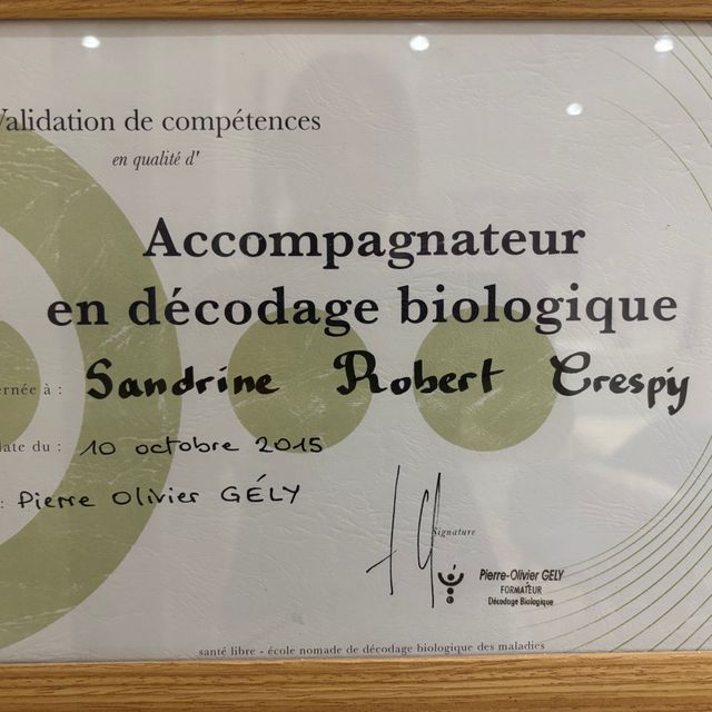 Acercar imagen: certificate 2