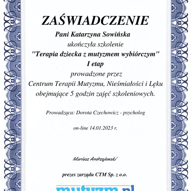 Powiększ obraz: certificate 11