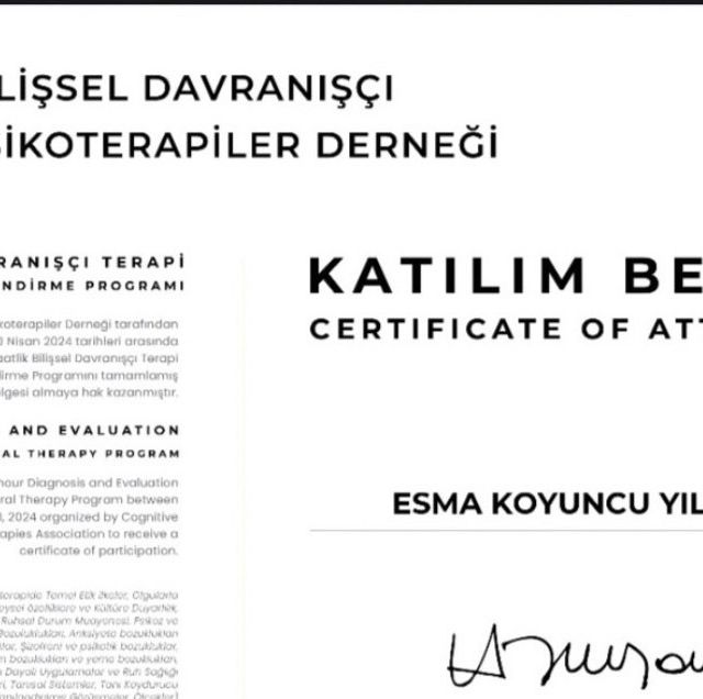 Resmi büyüt: certificate 7