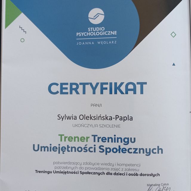 Powiększ obraz: certificate 4