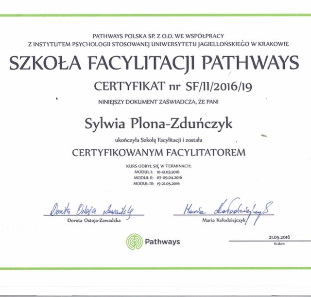 Powiększ obraz: certificate 8