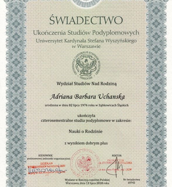 Powiększ obraz: certificate 1