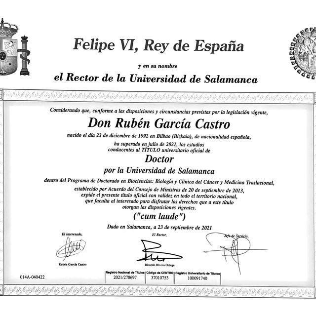Acercar imagen: certificate 2