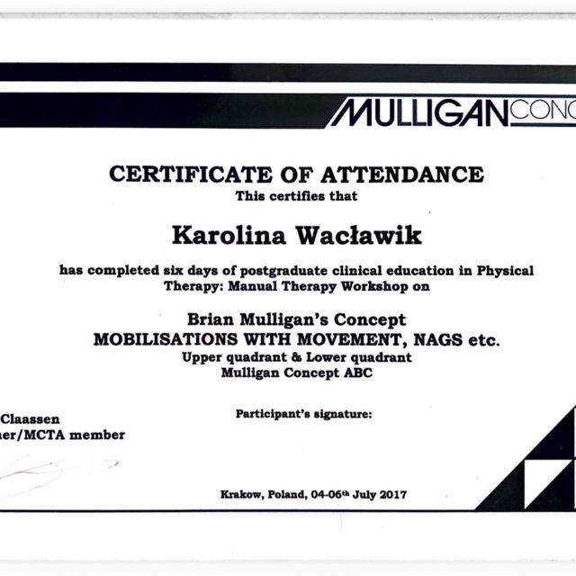 Powiększ obraz: certificate 1