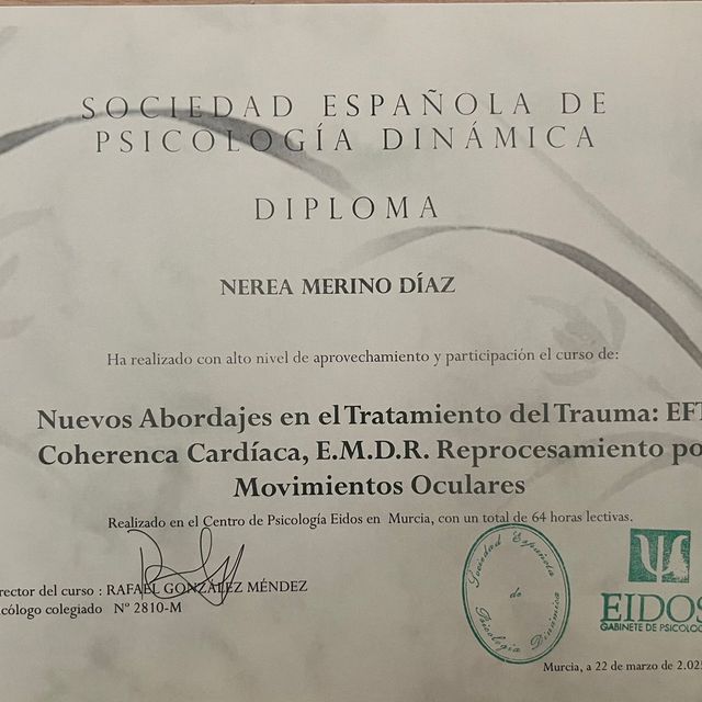 Acercar imagen: certificate 3
